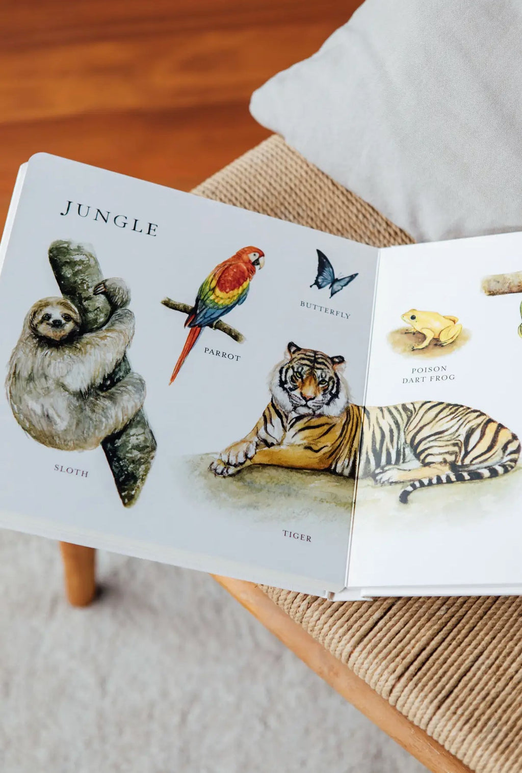 Big book of ANIMALS