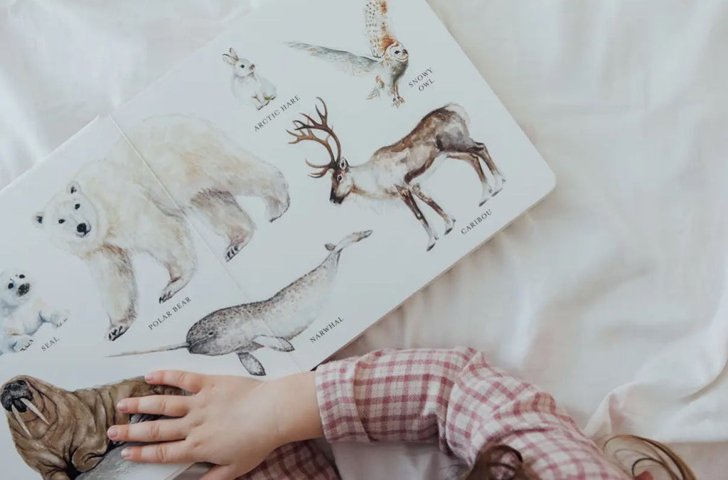 Big book of ANIMALS